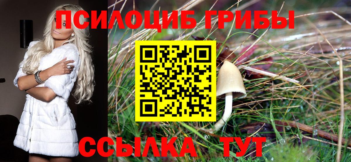 Галлюциногенные грибы мицелий Нижнеудинск