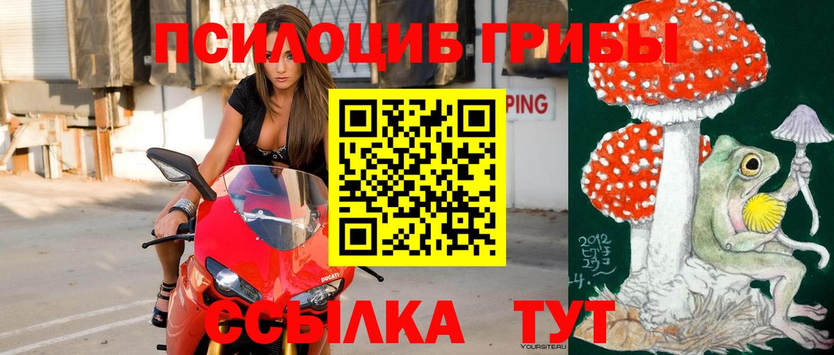 Нижнеудинск  Псилоцибиновые грибы мицелий  Вход с VPN 